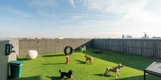 The Luxe Gallery 9