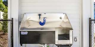 Arabelle Clearwater Gallery 18