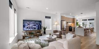 Sylvan in the Woodlands Gallery 30