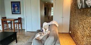115 GRENADINE Street Gallery 19