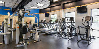 Vairo Village Gallery 26