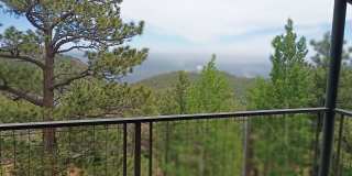 1405 Forest Road Gallery 1