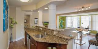 The Encore Gallery 15