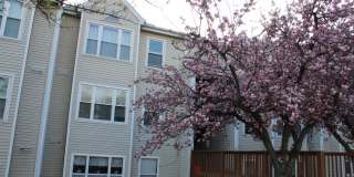 Charming 2 Bedroom/1 Bathroom Condo in Halethorpe, MD! Gallery 1