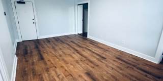 532 Hobart Gallery 13