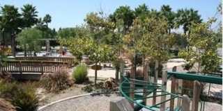 25 Bolinas Gallery 27