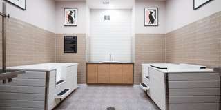 EDE Gallery 33