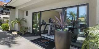 Terra Camarillo Gallery 20