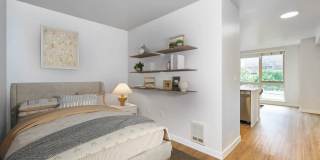 Alcyone Gallery 21