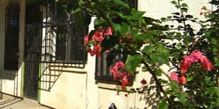 114 Poppy St. - 2 Gallery 11