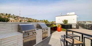 110 Roy Gallery 15
