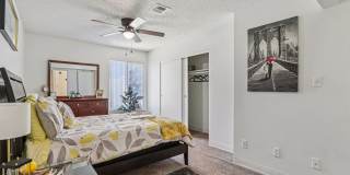 Sahara and Playa Palms Apartments Gallery 5