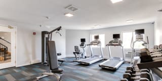 White Pines Gallery 42