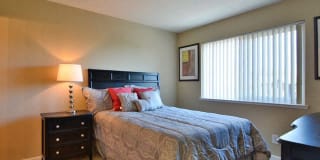 Crooked Oak Gallery 20