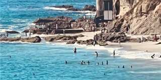 22 Blue Lagoon Gallery 33