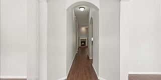 8871 CANOPY OAKS Drive Gallery 6