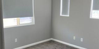 7020 Albatross Attic Street Gallery 31