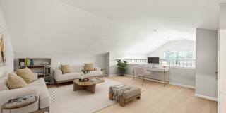 Everly Darien Gallery 4