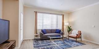 Addison at Cherry Creek Gallery 22