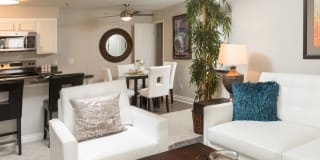 Mission Trails Gallery 4