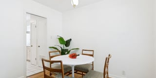CONTEMPORARY HOME IN ALAMO HEIGHTS Gallery 11