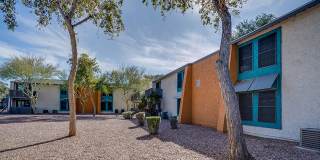 Aventerra at Dobson Ranch Gallery 33