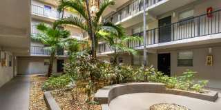 Plantation Gardens Gallery 53