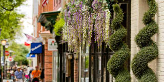 The Frasier Gallery 36