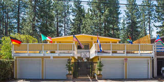 3314 Treehaven Drive Gallery 1