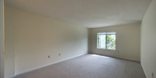 The Davenport Gallery 4