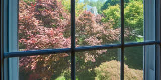 8508 SILVERDALE Road Gallery 47