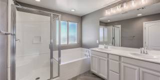 12420 Pinetina Street Gallery 9