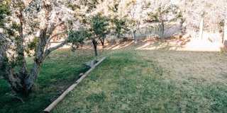 SMALL DOG FRIENDLY!!!  Meadow Street House Gallery 17