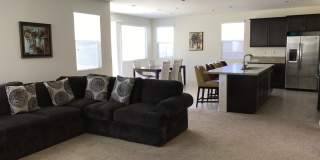 Private large 4 bed NextGen, with double living rooms, kitchens and laundries. Gallery 12