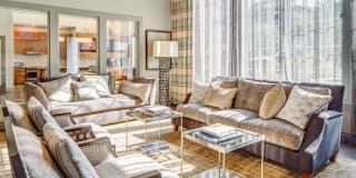 Nolina Flats Nolina Flats Gallery 19