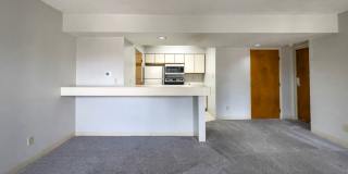 District on Dill Gallery 11