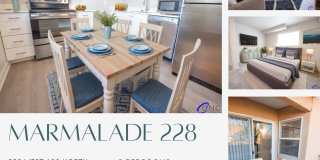 Marmalade 228 Gallery 1