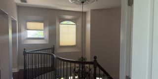 1840 Diamond Woods Circle Gallery 5