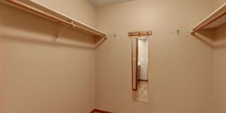 Bright spacious 4-bedroom 2.5 bath home in Bellevue Gallery 15