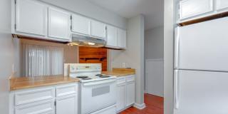 CUTE 2/1.5 w/ New Paint, Washer and Dryer, Close to TCC & FSU! Available NOW for $1050/month! Gallery 11