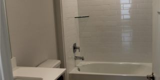 927 Lady Bird Gallery 8