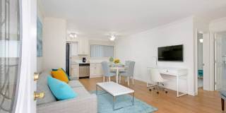 Del Rey Bay Gallery 1