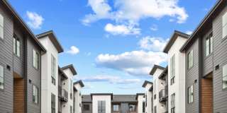 Allison Summit Gallery 1