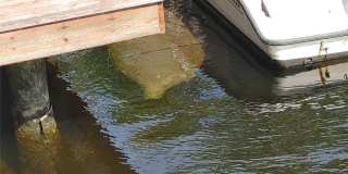 1806 NE 22nd Terrace Gallery 41