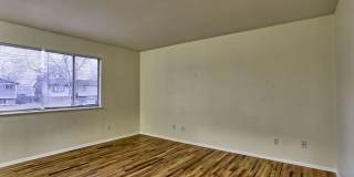 Students Welcome!  5 Bedroom home in West Fort Collins Gallery 17