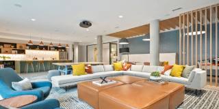 The Parallel The Parallel Gallery 22