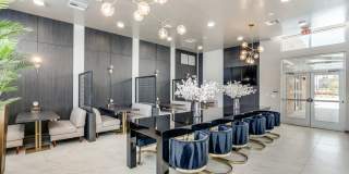 Remi West Dallas Remi West Dallas Gallery 16