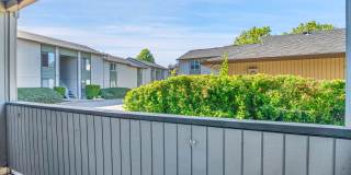 Mountain View Terrace Gallery 28