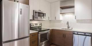 1208-12 South Michigan Ave. Gallery 3