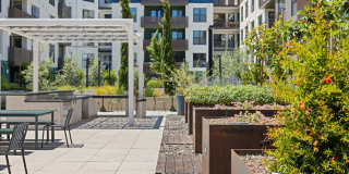 Sevens Luxury Apartment Gallery 131